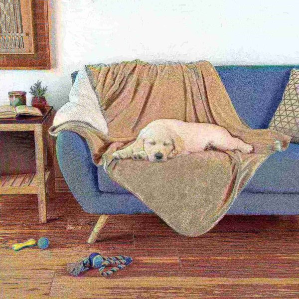Pet Adobe Pet Adobe Waterproof Pet Blanket - Washable Couch, Bed and Furniture Protector- 50 x 60 (Tan) 310953OVX